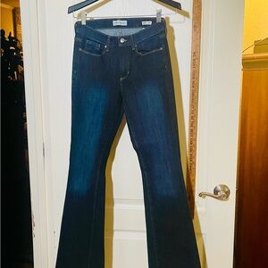 Banana Republic Indigo Flare Jeans